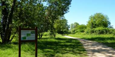 Balade sur le sentier du ver-vert