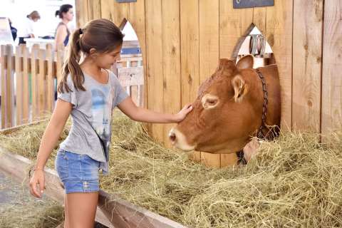 Farm festival in Brive