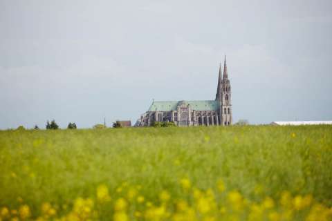 Cathédrales de Chartres