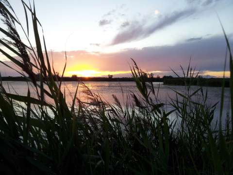 coucher de soleil sur la mer