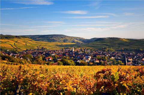 View over Thierenbach