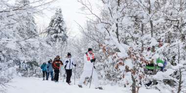 Skier ou raquettes au Markstein ou au Grand Ballon.