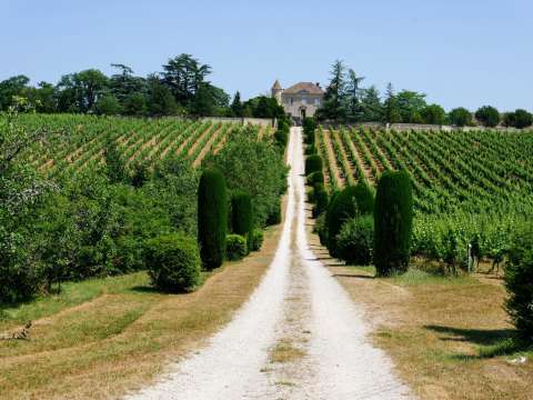 Vignoble autour de Cahors