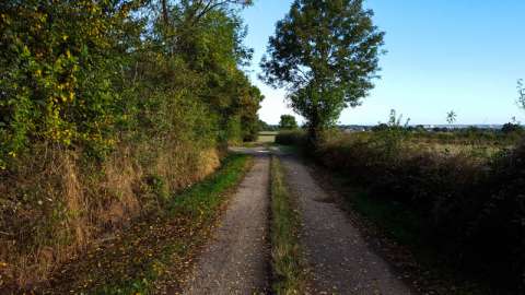 Bocage du Charolais-Brionnais