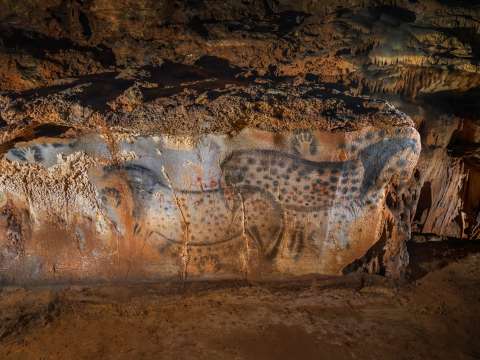 Chevaux ponctués - Grottes du Pech Merle