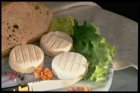 Rocamadour goats cheese