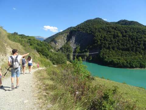 Suspension bridge